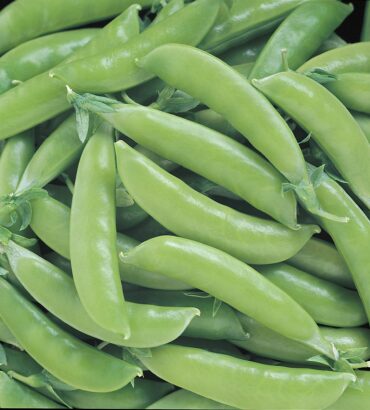 Sugar Snap Peas
