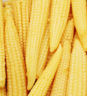 Baby Corn