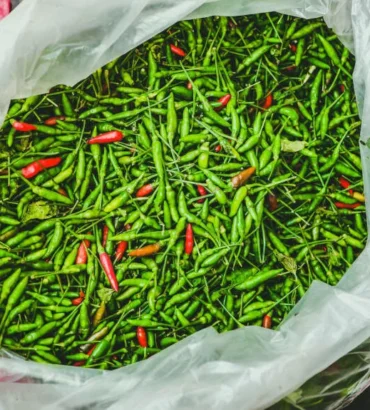 Green Bird's Eye Chillies