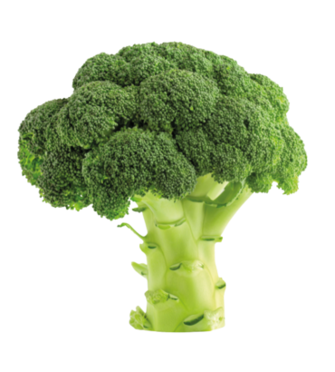 Broccoli