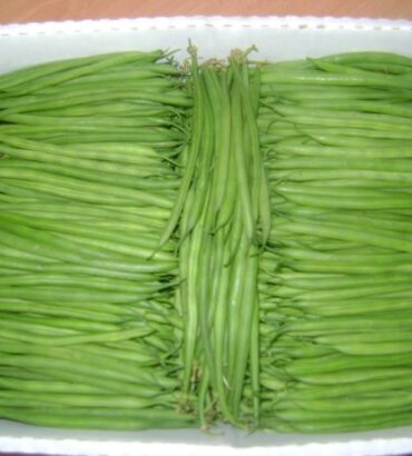 French Beans