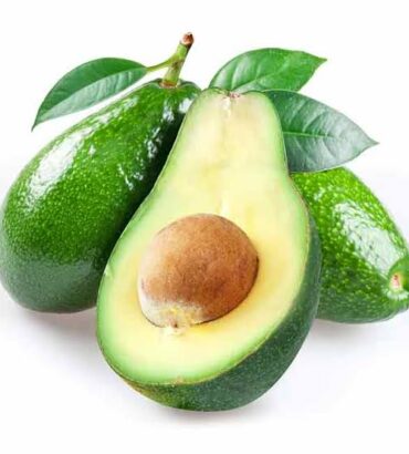 Fuerte Avocados