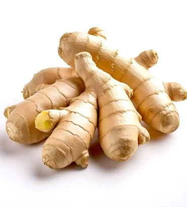 Ginger