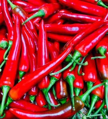 Long Chillies
