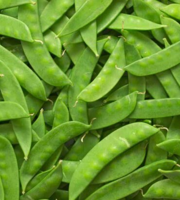 Snow Peas