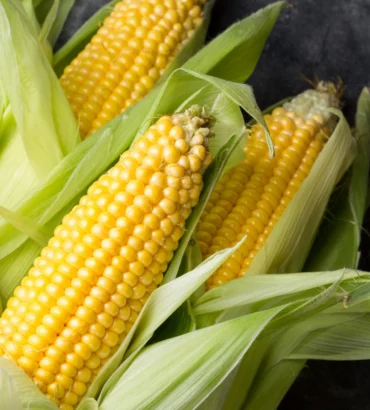 Sweet Corn