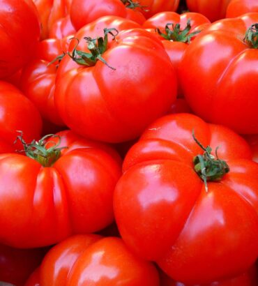 Tomatoes